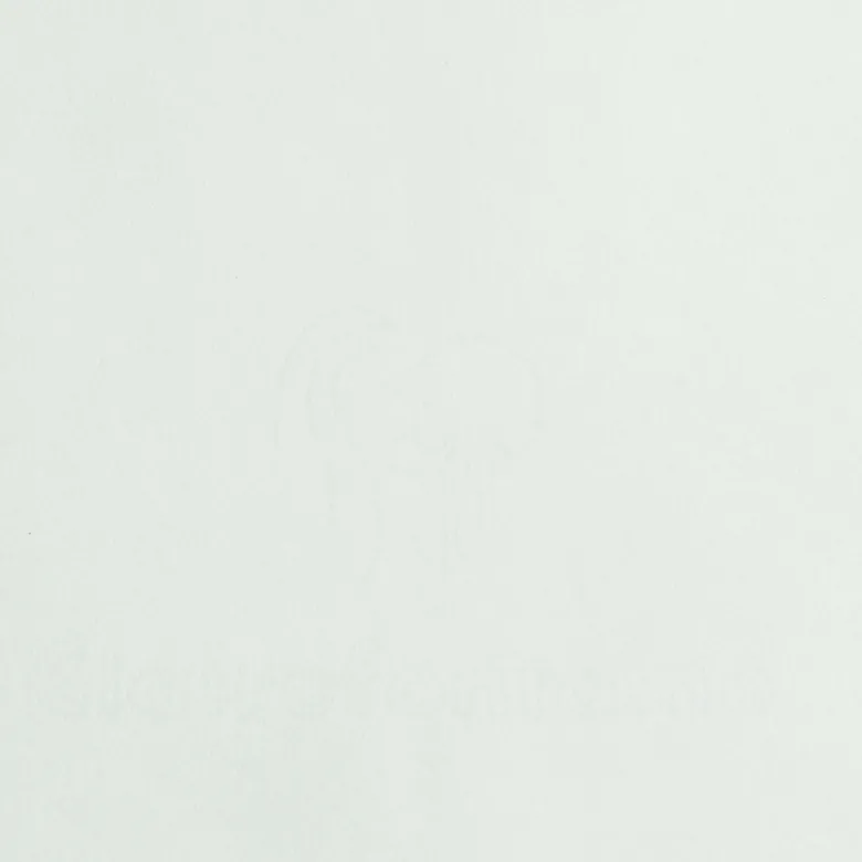 C by Clairefontaine glatt DIN A4 elfenbein 100 g/m²