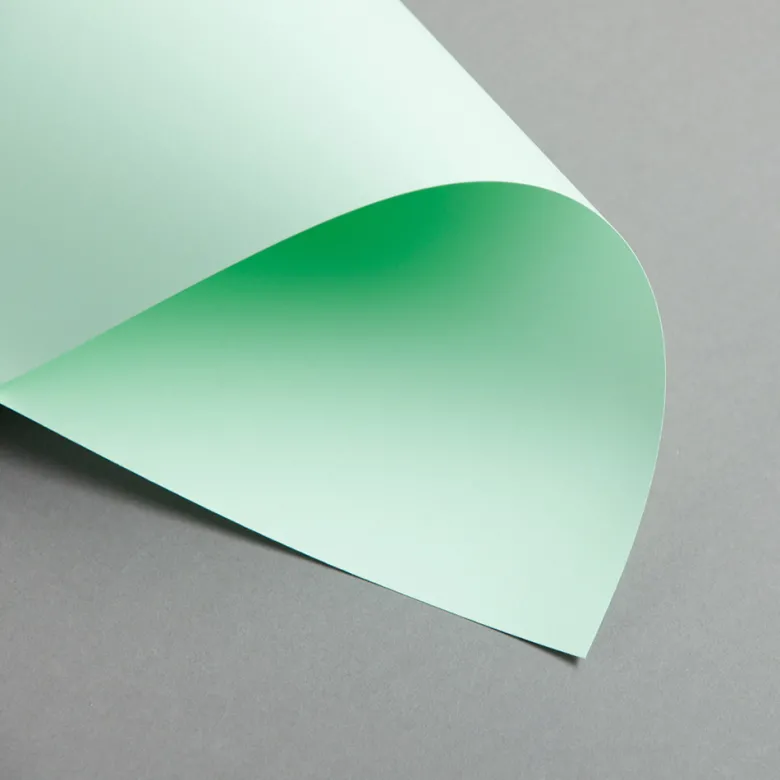 Clairefontaine Trophée Pastell 160 g/m² DIN A3 Hellgrün