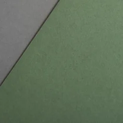 Colorplan Briefumschläge DIN lang Olivgrün