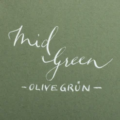 Colorplan Briefumschläge DIN lang Olivgrün