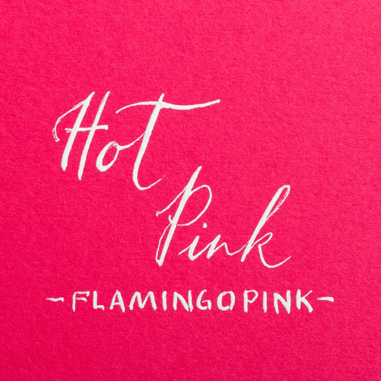Colorplan Briefumschläge DIN lang Flamingopink