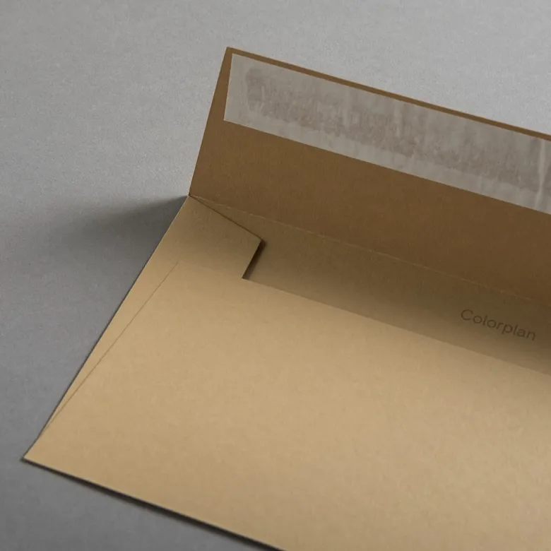 Colorplan Briefumschläge DIN lang Cappuccino