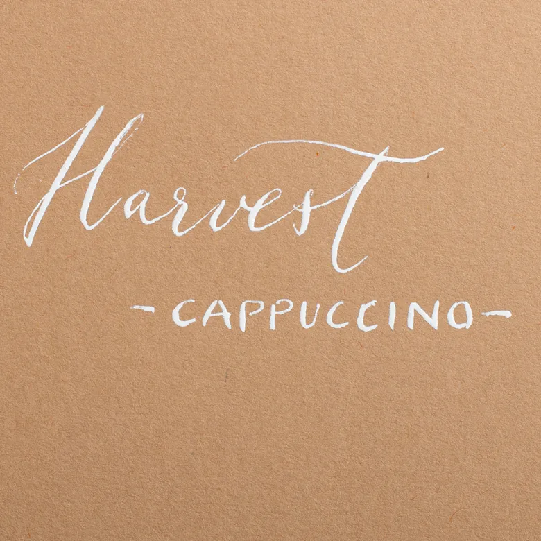Colorplan Briefumschläge DIN lang Cappuccino