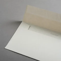 Colorplan Briefumschläge DIN lang Sand