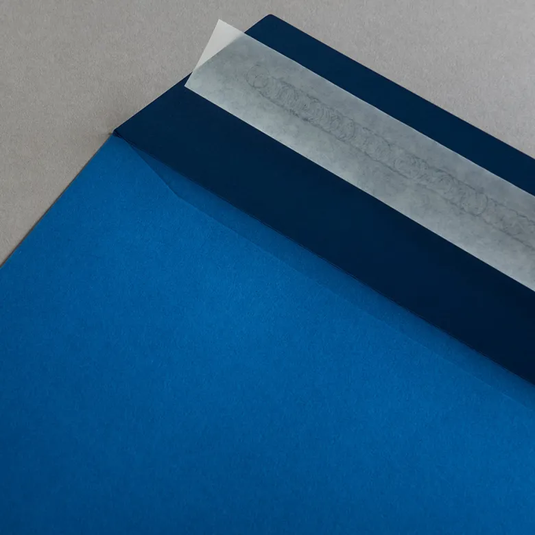 Colorplan Briefumschläge DIN C4 Blau