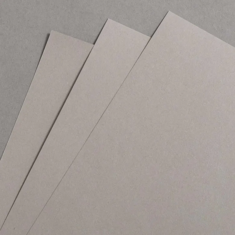 Colorplan Extracted Taupe 270 g