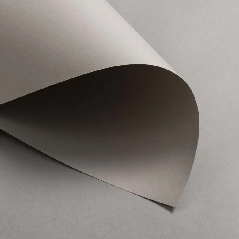 Colorplan Extracted Taupe 270 g