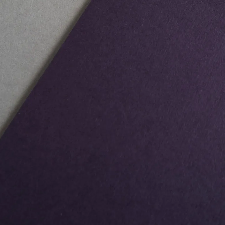 Colorplan 270 g/m² DIN A4 Aubergine