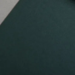 Colorplan 270 g/m² DIN A4 Dunkelgrün