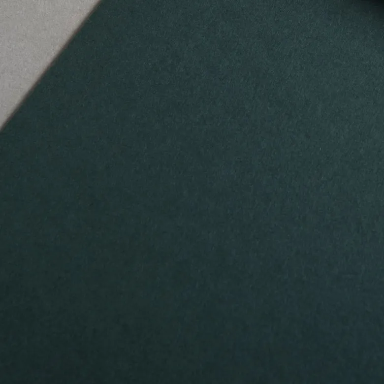 Colorplan 270 g/m² DIN A4 Dunkelgrün