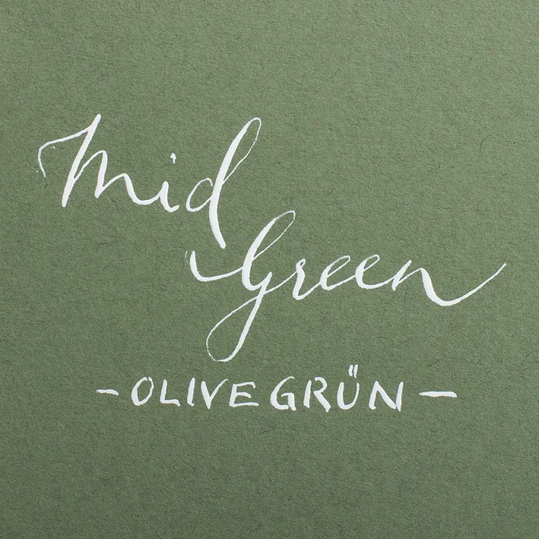 Colorplan 270 g/m² DIN A4 Olivgrün