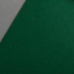 Colorplan 270 g/m² DIN A4 Tannengrün