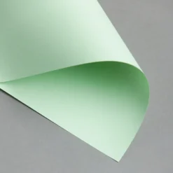 EVERCOLOR Hellgrün DIN A4 80 g