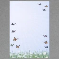 Schmetterlinge DIN A4 - 100 Blatt
